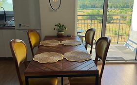 Celine Apartments